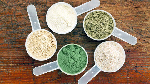 Protein for Senior Citizens: Preventing Muscle Loss and Weakness